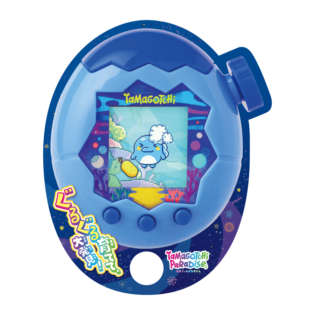 紙製うちわ いるかっち